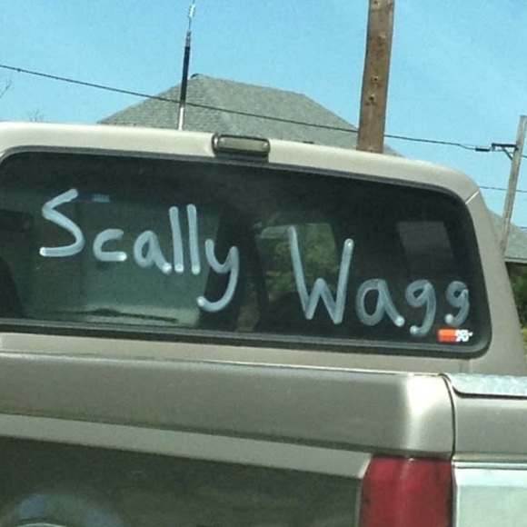 SASSYKW LIVE - Picture 12 of 14